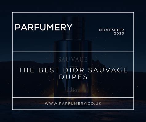 dupe of sauvage|dior sauvage alternative.